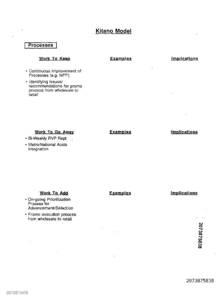 Kitano Model Processes